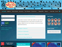 Tablet Screenshot of cengizgumus.com